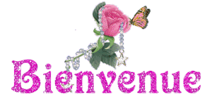 Gif animé bienvenue bijoux
